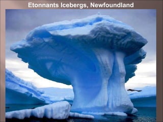 17
Etonnants Icebergs, Newfoundland
 