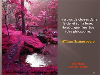 Il y a plus de choses dans
le ciel et sur la terre,
Horatio, que n'en rêve
votre philosophie.
William Shakespeare

With Metta,
Bro. Oh Teik Bin
Magnifique pont de mousse en Irelande

25

 