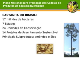 CASTANHA DO BRASIL:
17 milhões de hectares
7 Estados
24 Unidades de Conservação
14 Projetos de Assentamento Sustentável
Principais Subprodutos: amêndoa e óleo
 