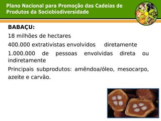 BABAÇU:
18 milhões de hectares
400.000 extrativistas envolvidos   diretamente
1.000.000 de     pessoas   envolvidas   direta   ou
indiretamente
Principais subprodutos: amêndoa/óleo, mesocarpo,
azeite e carvão.
 