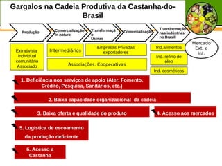 Gargalos na Cadeia Produtiva da Castanha-do-
                   Brasil
                    Comercialização   Transformaçã                       Transformação
    Produção                                         Comercialização     nas indústrias
                    in natura         o
                                      Usinas                             no Brasil
                                                                                          Mercado
                                        Empresas Privadas               Ind.alimentos      Ext. e
 Extrativista    Intermediários           exportadores                                      Int.
  individual                                                            Ind. refino de
 comunitário                                                                 óleo
  Associado               Associações, Cooperativas
                                                                       Ind. cosméticos

   1. Deficiência nos serviços de apoio (Ater, Fomento,
             Crédito, Pesquisa, Sanitários, etc.)

                2. Baixa capacidade organizacional da cadeia

            3. Baixa oferta e qualidade do produto                      4. Acesso aos mercados

  5. Logística de escoamento
     da produção deficiente

      6. Acesso a
       Castanha
 