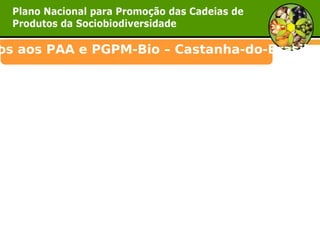 os aos PAA e PGPM-Bio – Castanha-do-Brasil  
 