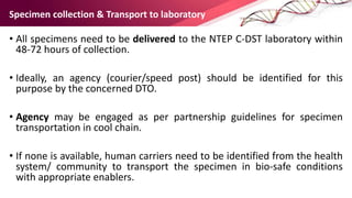 24 march short ntep who diagnosis of dr tb | PPTX