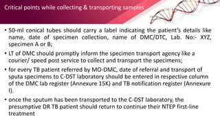 24 march short ntep who diagnosis of dr tb | PPTX