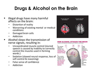 Drugs & Alcohol on the Brain
• Illegal drugs have many harmful
affects on the brain:
– Distortion of reality
– Worsening of existing mental or medical
conditions
– Damaged brain cells
– Addiction
• Alcohol slows the transmission of
nerve signals, resulting in:
– Uncoordinated muscle control (slurred
speech is caused by inability to correctly
control the muscles used in forming
words.)
– Sedation (slowed neural response, loss of
self-control & reasoning)
– False sense of confidence
– Addiction
 