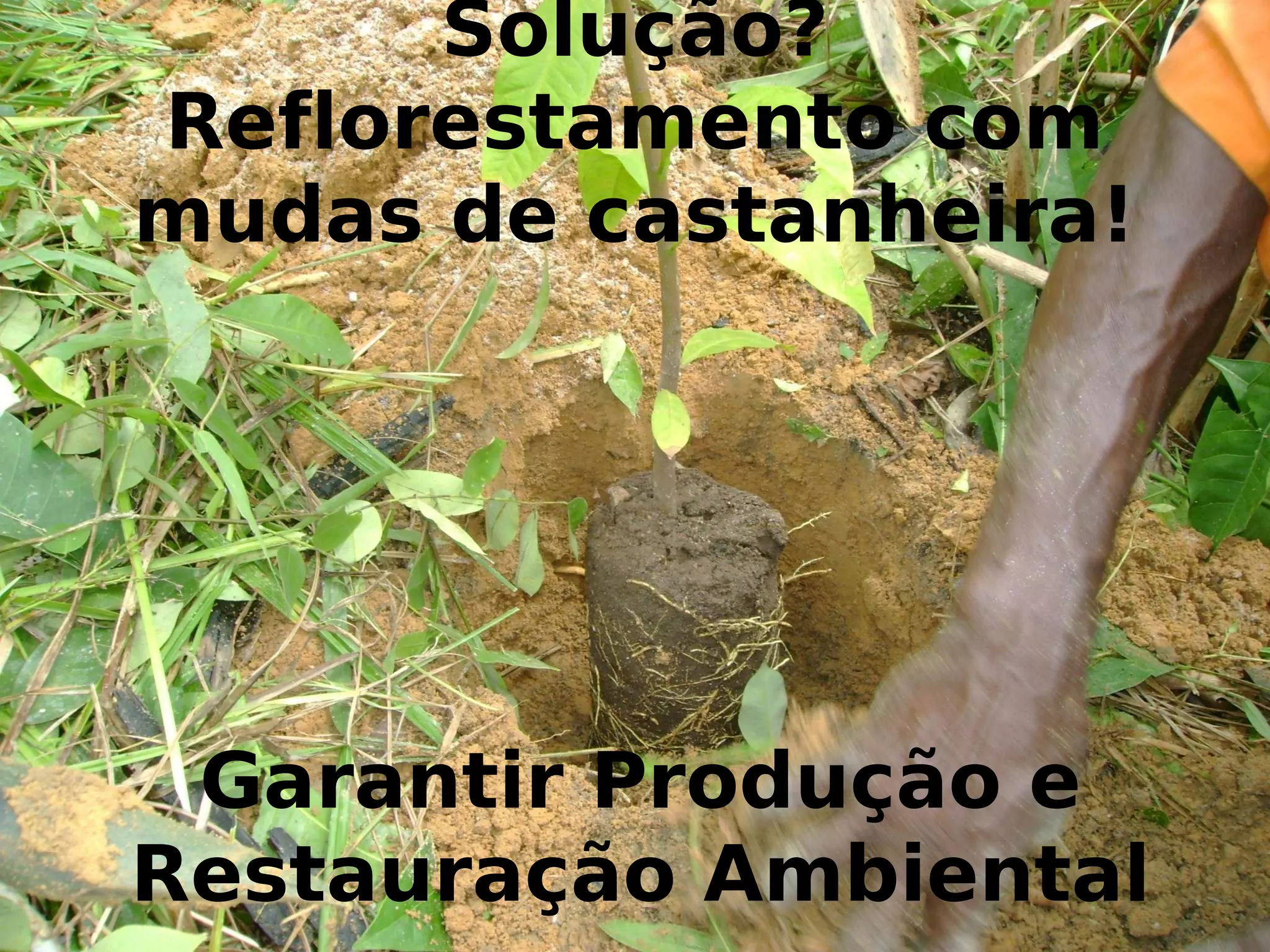 FB
# B% B
B B% * @
G B" B B
B !
 