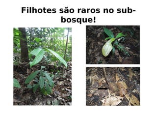 ' * B B B B !;
! B @
 