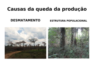 B BB B B(
F E & & B"E"&C E C
 