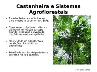 * B B B
. #
DBE BF A B E DA A ;F B
B B E B E A E 0E3
EDA F A B B
A6 % B!" B D B
# BF !" 'B B
B AB E DB FB EB B A A B3
BE ADA B B B B!" B
D F A!@ E A D A ADBE
A% F E3
6FDAB B E E # B B E
E EE 2 AD EB1 FB
A 'B B -+**,/
 