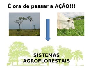 LB B B( B B 56E@@@
B
G E'CE
 