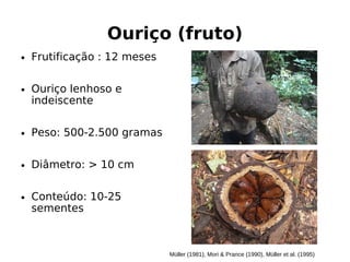 E B/# 0
0 A%ADB!" (+ E E
& A! F E
AF AED F
E 4** + 4** # B BE
5A6 7 (* D
F 8 (* +4
E F E
B CDE D AB CDEEF B B CDEE
 