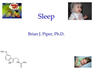 Sleep

Brian J. Piper, Ph.D.
 