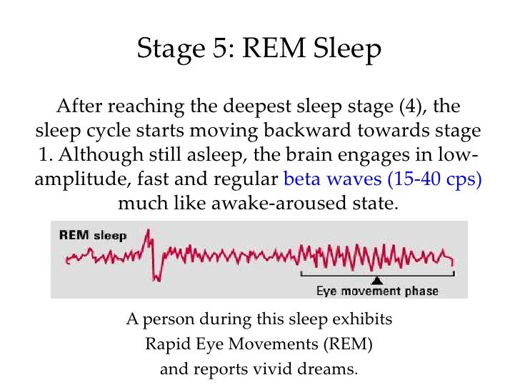 Introductory Psychology Sleep