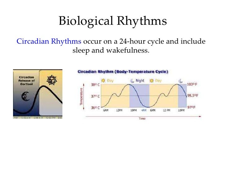 Introductory Psychology Sleep