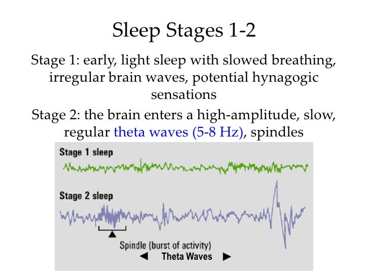 Introductory Psychology Sleep