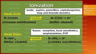 Drug Excretion and Elimination Kinetics