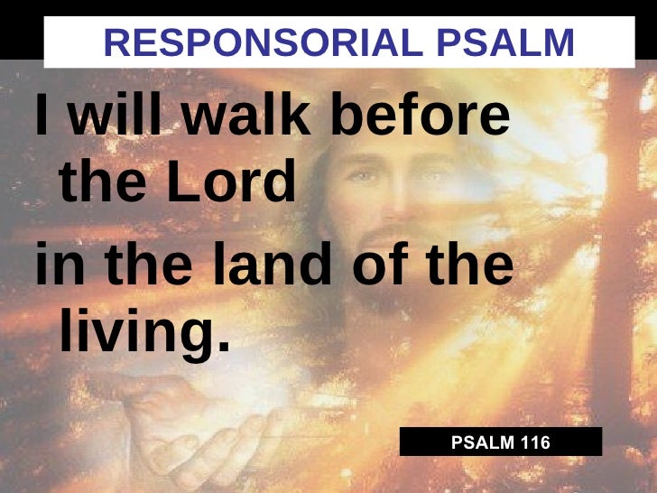 24th Sunday In Ordinary Time