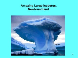 Amazing Large Icebergs,
   Newfoundland




                          18
 