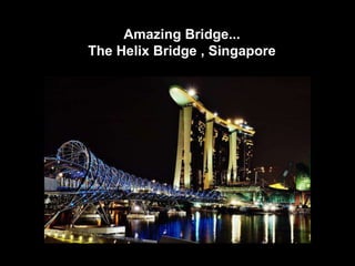 Amazing Bridge...
The Helix Bridge , Singapore




                               16
 