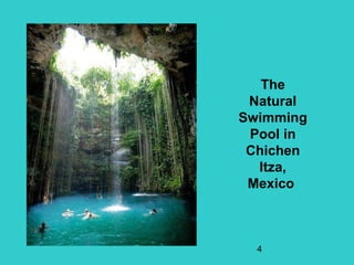 The
 Natural
Swimming
 Pool in
 Chichen
  Itza,
 Mexico



  4
 