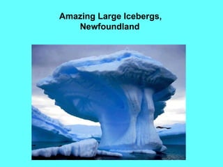 18
Amazing Large Icebergs,
Newfoundland
 