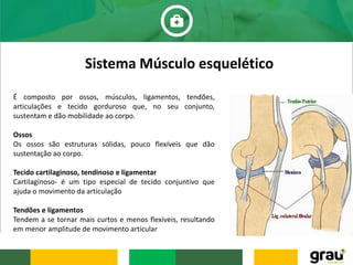 Sistema Músculo esquelético
É composto por ossos, músculos, ligamentos, tendões,
articulações e tecido gorduroso que, no seu conjunto,
sustentam e dão mobilidade ao corpo.
Ossos
Os ossos são estruturas sólidas, pouco flexíveis que dão
sustentação ao corpo.
Tecido cartilaginoso, tendinoso e ligamentar
Cartilaginoso- é um tipo especial de tecido conjuntivo que
ajuda o movimento da articulação
Tendões e ligamentos
Tendem a se tornar mais curtos e menos flexíveis, resultando
em menor amplitude de movimento articular
 