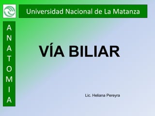 Universidad Nacional de La Matanza

A
N
A
T
       VÍA BILIAR
O
M
I
                     Lic. Heliana Pereyra
A
 