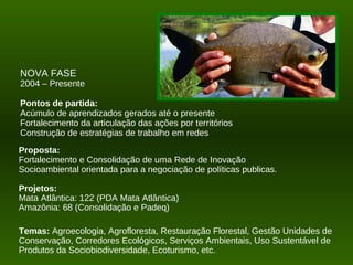 NOVA FASE
2004 – Presente

Pontos de partida:
Acúmulo de aprendizados gerados até o presente
Fortalecimento da articulação das ações por territórios
Construção de estratégias de trabalho em redes
Proposta:
Fortalecimento e Consolidação de uma Rede de Inovação
Socioambiental orientada para a negociação de políticas publicas.

Projetos:
Mata Atlântica: 122 (PDA Mata Atlântica)
Amazônia: 68 (Consolidação e Padeq)

Temas: Agroecologia, Agrofloresta, Restauração Florestal, Gestão Unidades de
Conservação, Corredores Ecológicos, Serviços Ambientais, Uso Sustentável de
Produtos da Sociobiodiversidade, Ecoturismo, etc.
 