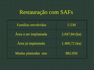Restauração com SAFs

 Famílias envolvidas       5.530

Área a ser implantada   2.047,84 (ha)

 Área já implantada     1.400,72 (ha)

Mudas plantadas ano       882.050
 