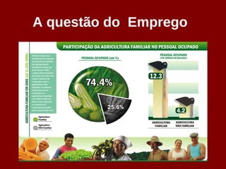 A questão do Emprego
 