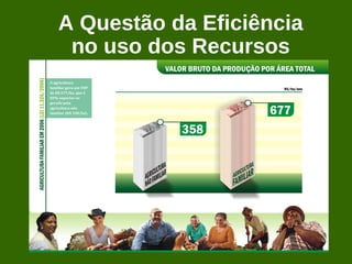 A Questão da Eficiência
 no uso dos Recursos
 