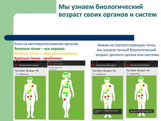 Мы узнаем биологический
возраст своих органов и систем
Если на месторасположении органов
Зеленые точки – все хорошо.
Желтые точки – обратите внимание.
Красные точки - проблемы
Нажав на соответствующую точку,
мы узнаем точный биологический
возраст данного органа или системы
 