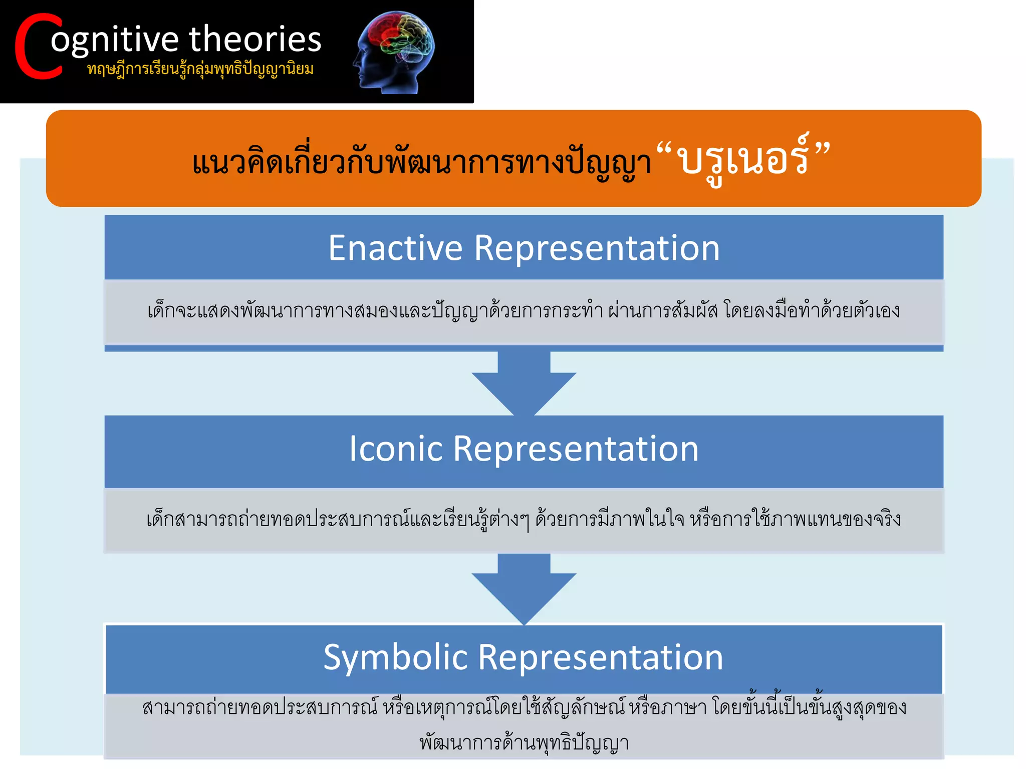 C 
ognitive theories 
ทฤษฎีการเรียนรู้กลุ่มพุทธิปัญญานิยม 
Symbolic Representation 
สามารถถ่ายทอดประสบการณ์ หรือเหตุการณ์โดยใช้สัญลักษณ์ หรือภาษา โดยขั้นนี้เป็นขั้นสูงสุดของ พัฒนาการด้านพุทธิปัญญา 
Iconic Representation 
เด็กสามารถถ่ายทอดประสบการณ์และเรียนรู้ต่างๆ ด้วยการมีภาพในใจ หรือการใช้ภาพแทนของจริง 
Enactive Representation 
เด็กจะแสดงพัฒนาการทางสมองและปัญญาด้วยการกระทา ผ่านการสัมผัส โดยลงมือทาด้วยตัวเอง 
แนวคิดเกี่ยวกับพัฒนาการทางปัญญา“บรูเนอร์”  
