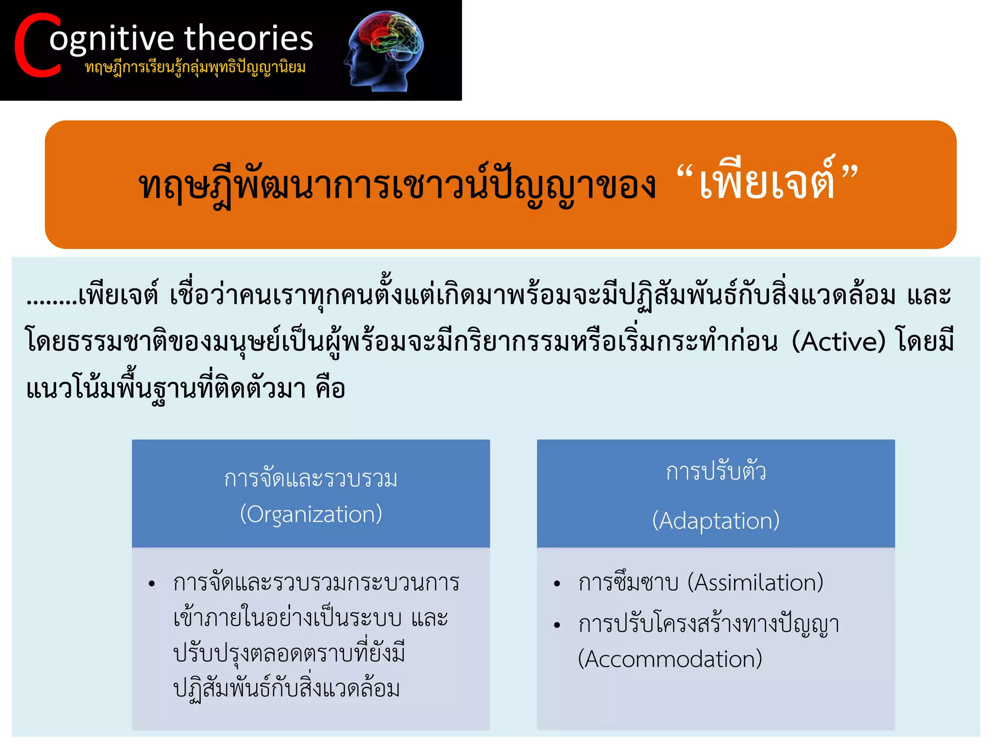 C 
ognitive theories 
ทฤษฎีการเรียนรู้กลุ่มพุทธิปัญญานิยม 
ทฤษฎีพัฒนาการเชาวน์ปัญญาของ “เพียเจต์” 
........เพียเจต์ เชื่อว่าคนเราทุกคนตั้งแต่เกิดมาพร้อมจะมีปฏิสัมพันธ์กับสิ่งแวดล้อม และ โดยธรรมชาติของมนุษย์เป็นผู้พร้อมจะมีกริยากรรมหรือเริ่มกระทาก่อน (Active) โดยมี แนวโน้มพื้นฐานที่ติดตัวมา คือ 
การจัดและรวบรวม (Organization) 
•การจัดและรวบรวมกระบวนการ เข้าภายในอย่างเป็นระบบ และ ปรับปรุงตลอดตราบที่ยังมี ปฏิสัมพันธ์กับสิ่งแวดล้อม 
การปรับตัว (Adaptation) 
•การซึมซาบ (Assimilation) 
•การปรับโครงสร้างทางปัญญา (Accommodation)  