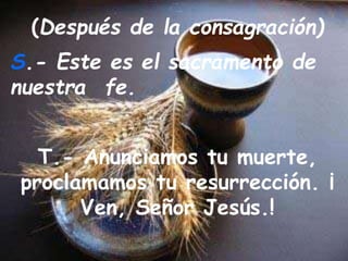 (Después de la consagración)
S.- Este es el sacramento de
nuestra fe.
T.- Anunciamos tu muerte,
proclamamos tu resurrección. ¡
Ven, Señor Jesús.!
 