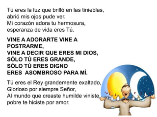 Tú eres la luz que brilló en las tinieblas,
abrió mis ojos pude ver.
Mi corazón adora tu hermosura,
esperanza de vida eres Tú.
VINE A ADORARTE VINE A
POSTRARME,
VINE A DECIR QUE ERES MI DIOS,
SÓLO TÚ ERES GRANDE,
SÓLO TÚ ERES DIGNO
ERES ASOMBROSO PARA MÍ.
Tú eres el Rey grandemente exaltado,
Glorioso por siempre Señor,
Al mundo que creaste humilde viniste,
pobre te hiciste por amor.
 