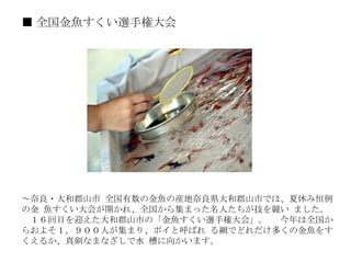 ■ 全国金魚すくい選手権大会 　 　 ～奈良・大和郡山市 全国有数の金魚の産地奈良県大和郡山市では、夏休み恒例の金 魚すくい大会が開かれ、全国から集まった名人たちが技を競い ました。 　１６回目を迎えた大和郡山市の「金魚すくい選手権大会」。 　今年は全国からおよそ１，９００人が集まり、ポイと呼ばれ る網でどれだけ多くの金魚をすくえるか、真剣なまなざしで水 槽に向かいます。 　 