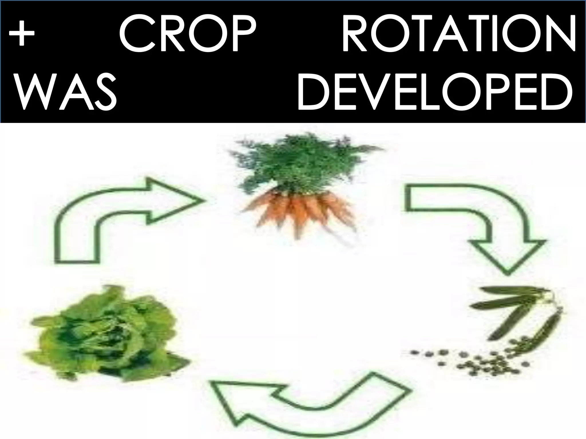 25.1 THE BEGINNINGS OF INDUSTRIALIZATION