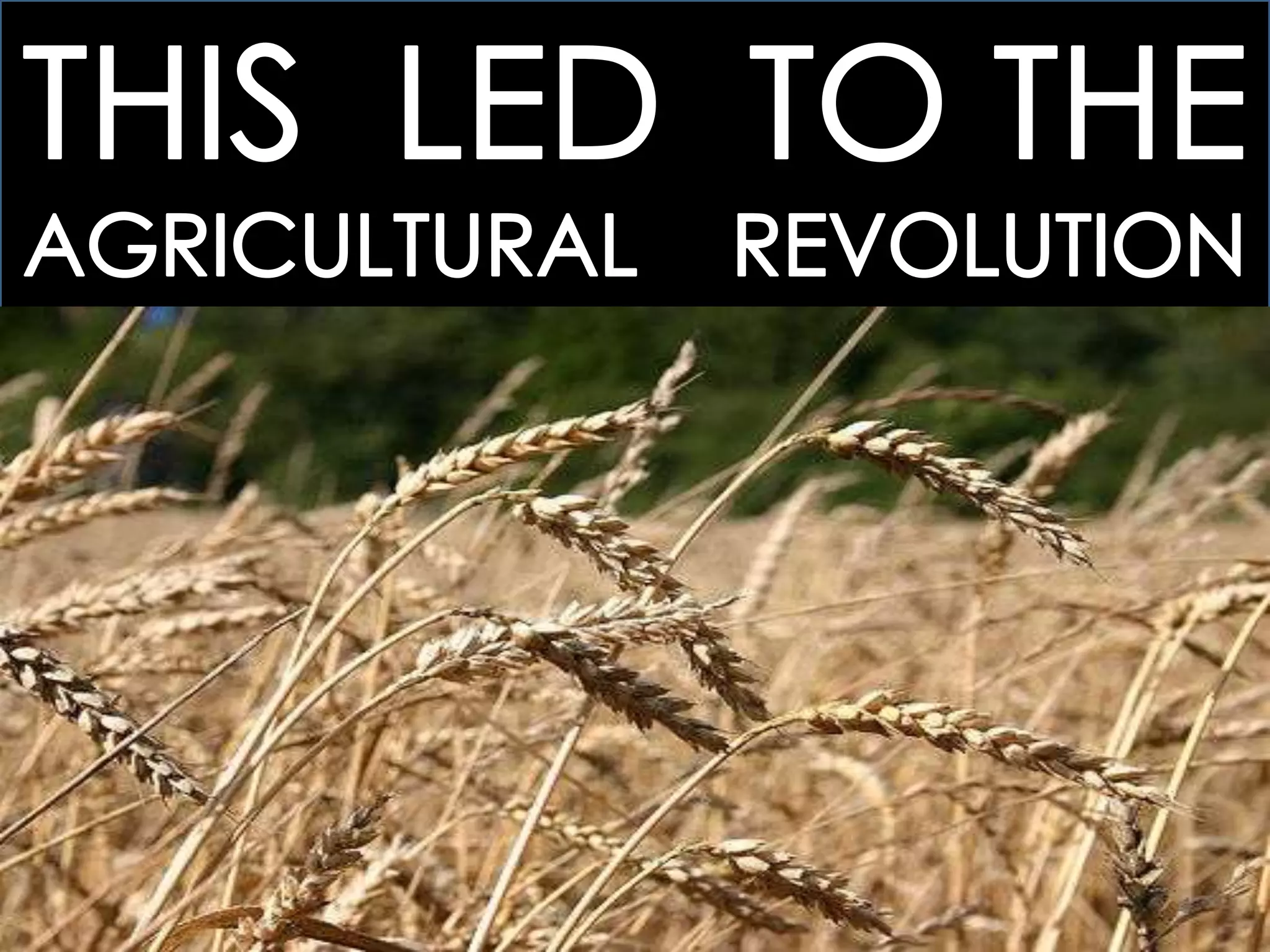 25.1 THE BEGINNINGS OF INDUSTRIALIZATION