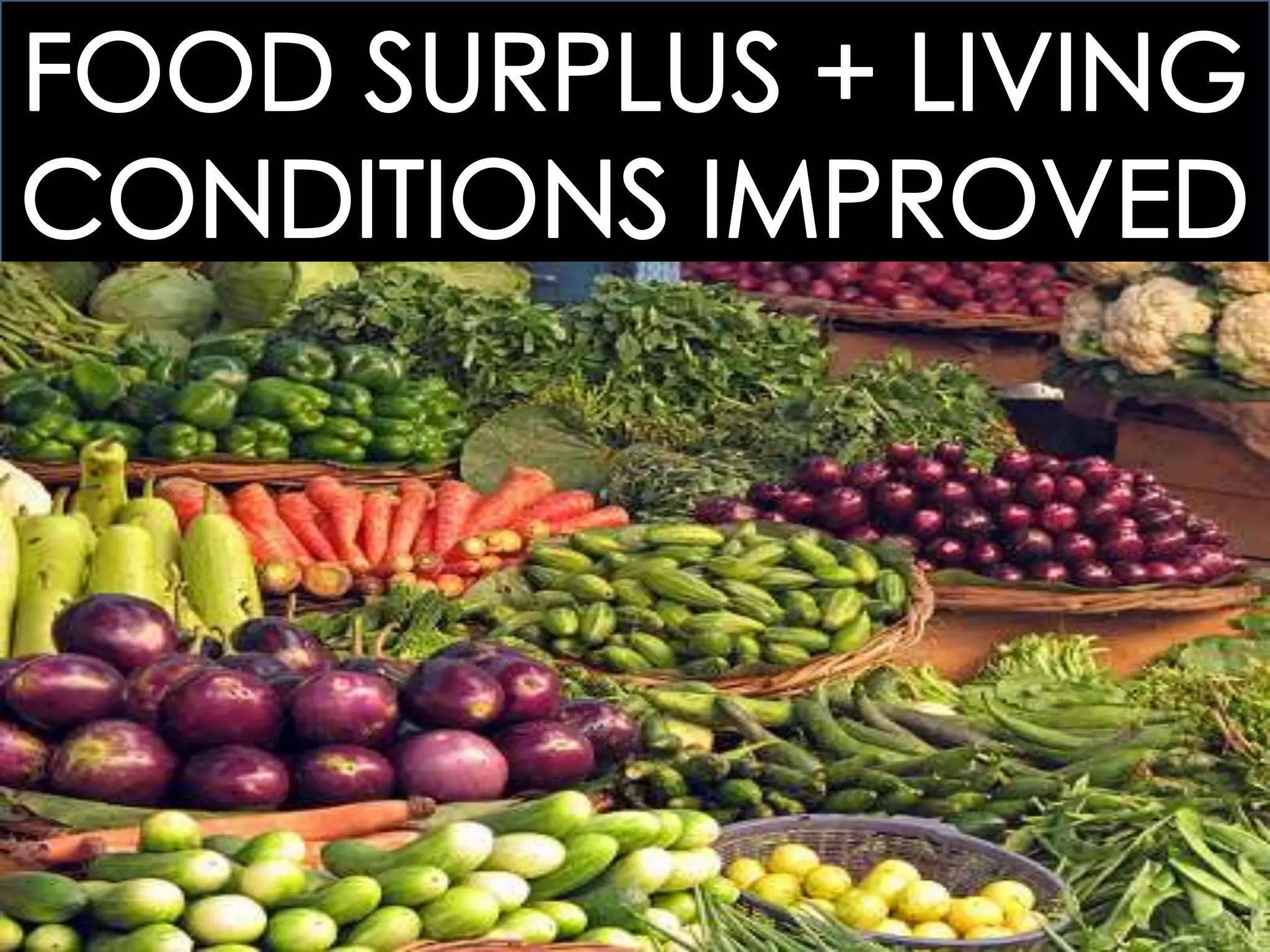 25.1 THE BEGINNINGS OF INDUSTRIALIZATION