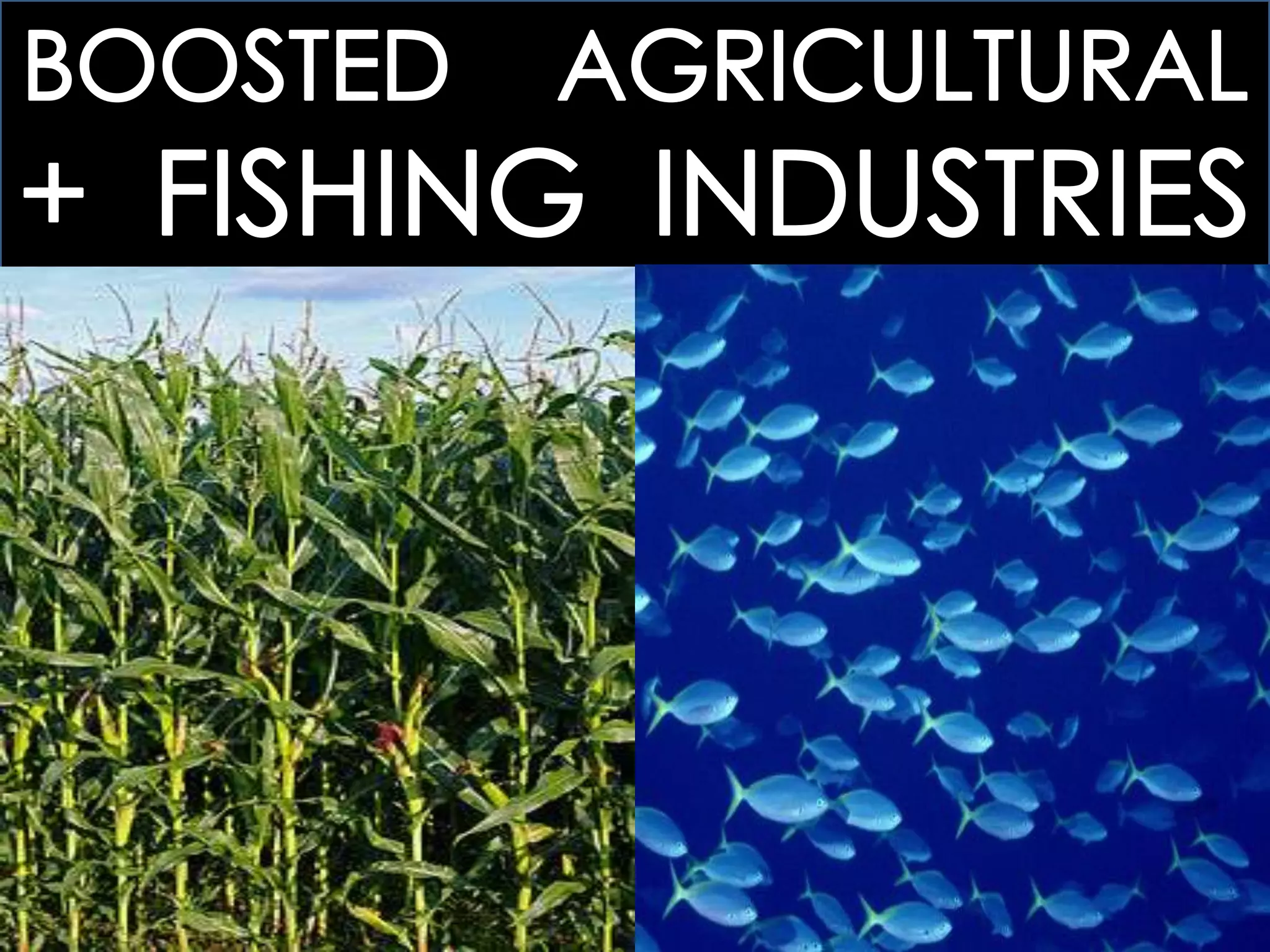 25.1 THE BEGINNINGS OF INDUSTRIALIZATION