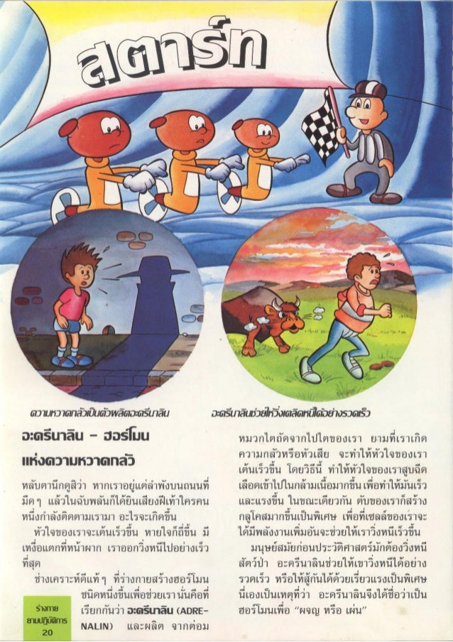 จ กรกลของร างกาย 25 ฮอร โมน