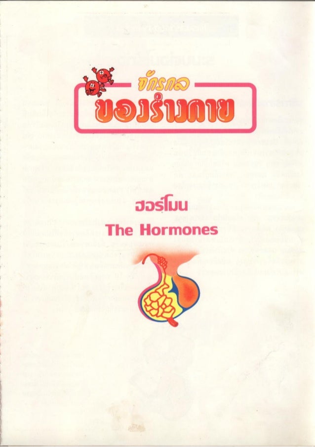 จ กรกลของร างกาย 25 ฮอร โมน