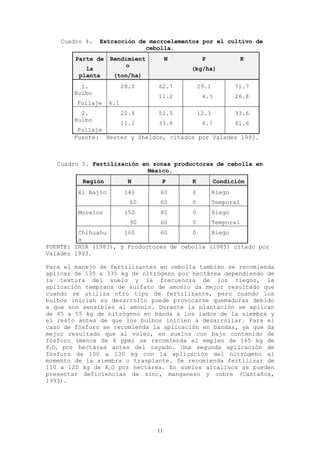 Cuadro 4.   Extracción de macroelementos por el cultivo de
                             cebolla.
        Parte de    Rendimient        N        P                K
                        o
           la                             (kg/ha)
         planta      (ton/ha)
          1.              28.0   62.7         29.1           71.7
        Bulbo
                                 11.2          4.5           26.8
        Follaje     4.1
          2.              22.4   51.5         12.3           33.6
        Bulbo
                          11.2   33.6          6.7           61.6
        Follaje
       Fuente: Hester y Sheldon, citados por Valadez 1993.



   Cuadro 5. Fertilización en zonas productoras de cebolla en
                             México.
          Región            N     P       K          Condición
         El Bajío          140    60      0          Riego
                            60    60      0          Temporal
         Morelos           150    80      0          Riego
                            90    60      0          Temporal
         Chihuahu     160       60       0     Riego
         a
FUENTE: INIA (1983), y Productores de cebolla (1985) citado por
Valadez 1993.

Para el manejo de fertilizantes en cebolla también se recomienda
aplicar de 135 a 335 kg de nitrógeno por hectárea dependiendo de
la textura del suelo y la frecuencia de los riegos, la
aplicación temprana de sulfato de amonio da mejor resultado que
cuando se utiliza otro tipo de fertilizante, pero cuando los
bulbos inician su desarrollo puede provocarse quemaduras debido
a que son sensibles al amonio. Durante la plantación se aplican
de 45 a 55 kg de nitrógeno en banda a los lados de la siembra y
el resto antes de que los bulbos inicien a desarrollar. Para el
caso de fósforo se recomienda la aplicación en bandas, ya que da
mejor resultado que al voleo, en suelos con bajo contenido de
fósforo (menos de 8 ppm) se recomienda el empleo de 165 kg de
P2O5 por hectárea antes del rayado. Una segunda aplicación de
fósforo de 100 a 130 kg con la aplicación del nitrógeno al
momento de la siembra o trasplante. Se recomienda fertilizar de
110 a 120 kg de K2O por hectárea. En suelos alcalinos se pueden
presentar deficiencias de zinc, manganeso y cobre (Castaños,
1993).




                                 11
 