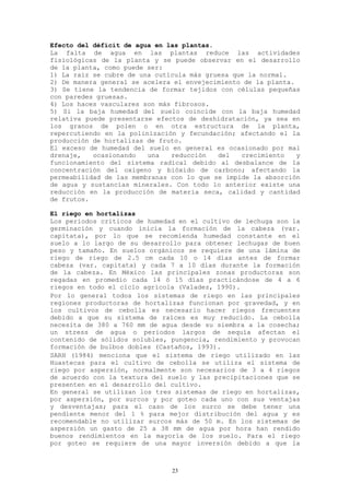 Efecto del déficit de agua en las plantas.
La falta de agua en las plantas reduce las actividades
fisiológicas de la planta y se puede observar en el desarrollo
de la planta, como puede ser:
1) La raíz se cubre de una cutícula más gruesa que la normal.
2) De manera general se acelera el envejecimiento de la planta.
3) Se tiene la tendencia de formar tejidos con células pequeñas
con paredes gruesas.
4) Los haces vasculares son más fibrosos.
5) Si la baja humedad del suelo coincide con la baja humedad
relativa puede presentarse efectos de deshidratación, ya sea en
los granos de polen o en otra estructura de la planta,
repercutiendo en la polinización y fecundación; afectando el la
producción de hortalizas de fruto.
El exceso de humedad del suelo en general es ocasionado por mal
drenaje,   ocasionando   una   reducción   del   crecimiento    y
funcionamiento del sistema radical debido al desbalance de la
concentración del oxigeno y bióxido de carbono; afectando la
permeabilidad de las membranas con lo que se impide la absorción
de agua y sustancias minerales. Con todo lo anterior existe una
reducción en la producción de materia seca, calidad y cantidad
de frutos.

El riego en hortalizas
Los periodos críticos de humedad en el cultivo de lechuga son la
germinación y cuando inicia la formación de la cabeza (var.
capitata), por lo que se recomienda humedad constante en el
suelo a lo largo de su desarrollo para obtener lechugas de buen
peso y tamaño. En suelos orgánicos se requiere de una lámina de
riego de riego de 2.5 cm cada 10 o 14 días antes de formar
cabeza (var. capitata) y cada 7 a 10 días durante la formación
de la cabeza. En México las principales zonas productoras son
regadas en promedio cada 14 ó 15 días practicándose de 4 a 6
riegos en todo el ciclo agrícola (Valadez, 1990).
Por lo general todos los sistemas de riego en las principales
regiones productoras de hortalizas funcionan por gravedad, y en
los cultivos de cebolla es necesario hacer riegos frecuentes
debido a que su sistema de raíces es muy reducido. La cebolla
necesita de 380 a 760 mm de agua desde su siembra a la cosecha;
un stress de agua o periodos largos de sequía afectan el
contenido de sólidos solubles, pungencia, rendimiento y provocan
formación de bulbos dobles (Castaños, 1993).
SARH (1984) menciona que el sistema de riego utilizado en las
Huastecas para el cultivo de cebolla se utiliza el sistema de
riego por aspersión, normalmente son necesarios de 3 a 4 riegos
de acuerdo con la textura del suelo y las precipitaciones que se
presenten en el desarrollo del cultivo.
En general se utilizan los tres sistemas de riego en hortalizas,
por aspersión, por surcos y por goteo cada uno con sus ventajas
y desventajas; para el caso de los surco se debe tener una
pendiente menor del 1 % para mejor distribución del agua y es
recomendable no utilizar surcos más de 50 m. En los sistemas de
aspersión un gasto de 25 a 38 mm de agua por hora han rendido
buenos rendimientos en la mayoría de los suelo. Para el riego
por goteo se requiere de una mayor inversión debido a que la



                               23
 