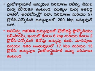 • మైటోకాన్డ్రియాల్ జన ువుల్ ప్రిమాణాం విభిని జీవుల్
మధ్ు మారుతూ ఉాంట ాంది, మొకకల్ మధ్ు అతిపెదద
వాటిల్ల, అరబిడోపసిస్ోా సహా, ప్రిమాణాం మరియు 57
పోి టీన్-ఎన్లకడిాంగ్ జన ువుల్ల్ల 200 kbp జన ువుత్ో
సహా.
• అతిచిని mtDNA జన ువుల్ల్ల పోి టోజిస్ట్ పాో స్ో ్డియాం
ఫల్లిపారమ్, ఇాంద ల్ల కేవల్ాం 6 kbp మరియు కేవల్ాం 2
పోి టీన్-ఎన్లకడిాంగ్ జెన్లమో జన ువు ఉాంది. మానవుల్య
మరియు ఇతర జాంతువుల్ల్ల 17 kbp మరియు 13
పోి టీన్ జన ువుల్ మైటోకాన్డ్రియాల్ జన ు ప్రిమాణాం
ఉాంట ాంది
 