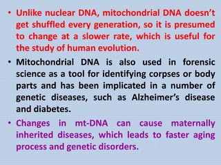 • Unlike nuclear DNA, mitochondrial DNA doesn’t
get shuffled every generation, so it is presumed
to change at a slower rate, which is useful for
the study of human evolution.
• Mitochondrial DNA is also used in forensic
science as a tool for identifying corpses or body
parts and has been implicated in a number of
genetic diseases, such as Alzheimer’s disease
and diabetes.
• Changes in mt-DNA can cause maternally
inherited diseases, which leads to faster aging
process and genetic disorders.
 