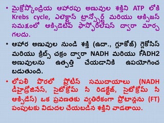 • మైకోోస్ో కాండిియ ఆహారప్ు అణువుల్ శకతాన్డ్ ATP ల్లకత
Krebs cycle, ఎల్ెకా్ా న్ టాి న్లిోర్్ మరియు ఆకతిజన్
సమక్షాంల్ల ఆకతిడెటివ్ ఫాస్ో ఫరిల్ేషన్ దతవరా మారు
గల్ద .
• ఆహార అణువుల్ న ాండి శకతా (ఉదత., గలో కోజ్) గెలోకోససస్ట
మరియు కతోబ్సి చ్కోాం దతవరా NADH మరియు FADH2
అణువుల్న ఉతెతిా చేయడతన్డ్కత ఉప్యోగిాంచ్
బడడతుాంది.
• ల్లప్ల్ల ప రల్ల పోి టీన్ సముదతయాల్య (NADH
డీహైడోిజిన్ేస్ట, సెైటోకోోమ్ సస రిడకే్జ్, సెైటోకోోమ్ సస
ఆకతిడేస్ట) ఒక ప్ివణతకయ వుతిరేకాంగా పోి టానోన (FT)
ప్ాంప్ుటకయ విడడదల్ చేయబడిన శకతాన్డ్ వాడత్తయి.
 