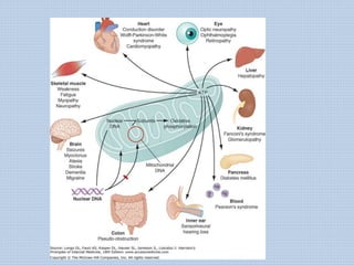 Mitochondrial DNA