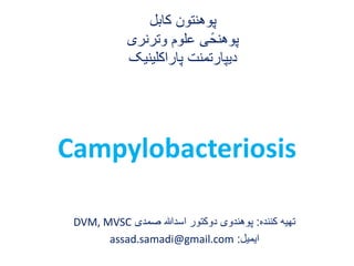 Campylobacteriosis
‫کننده‬ ‫تهیه‬:‫صمدی‬ ‫اسدهللا‬ ‫دوکتور‬ ‫پوهندوی‬DVM, MVSC
‫ایمیل‬:assad.samadi@gmail.com
‫کابل‬ ‫پوهنتون‬
‫وترنری‬ ‫علوم‬ ‫ی‬ً‫پوهنح‬
‫پاراکلینی‬ ‫دیپارتمنت‬‫ک‬
 